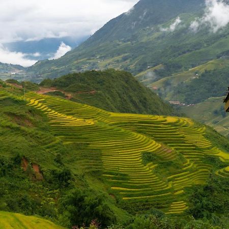 Sapa Eco-Home - Mountain Retreat Esterno foto